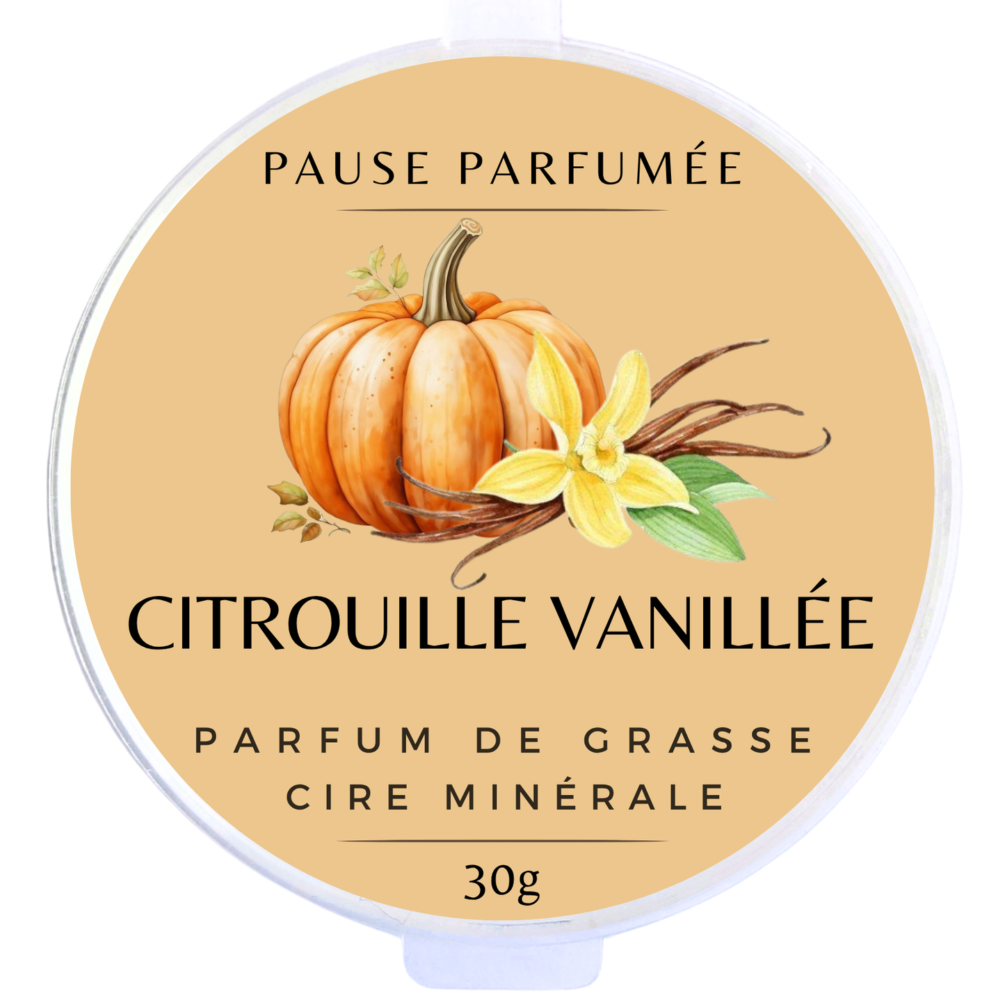 Citrouille Vanillée - Fondant Parfumé