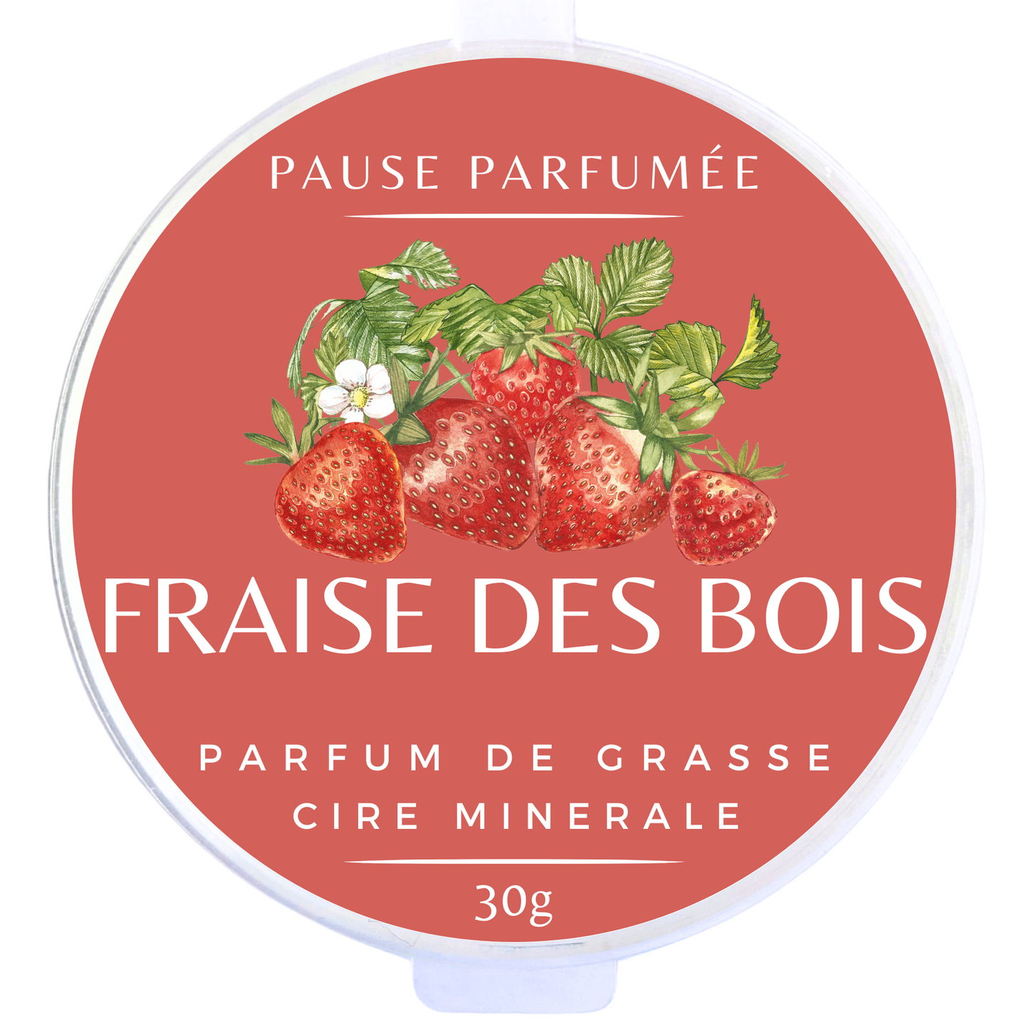FRAISE DES BOIS - Fondant Parfumé