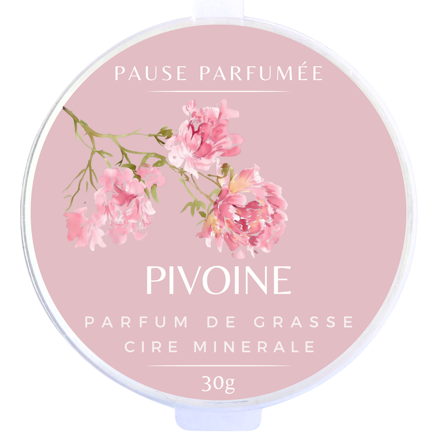 PIVOINE - Fondant Parfumé