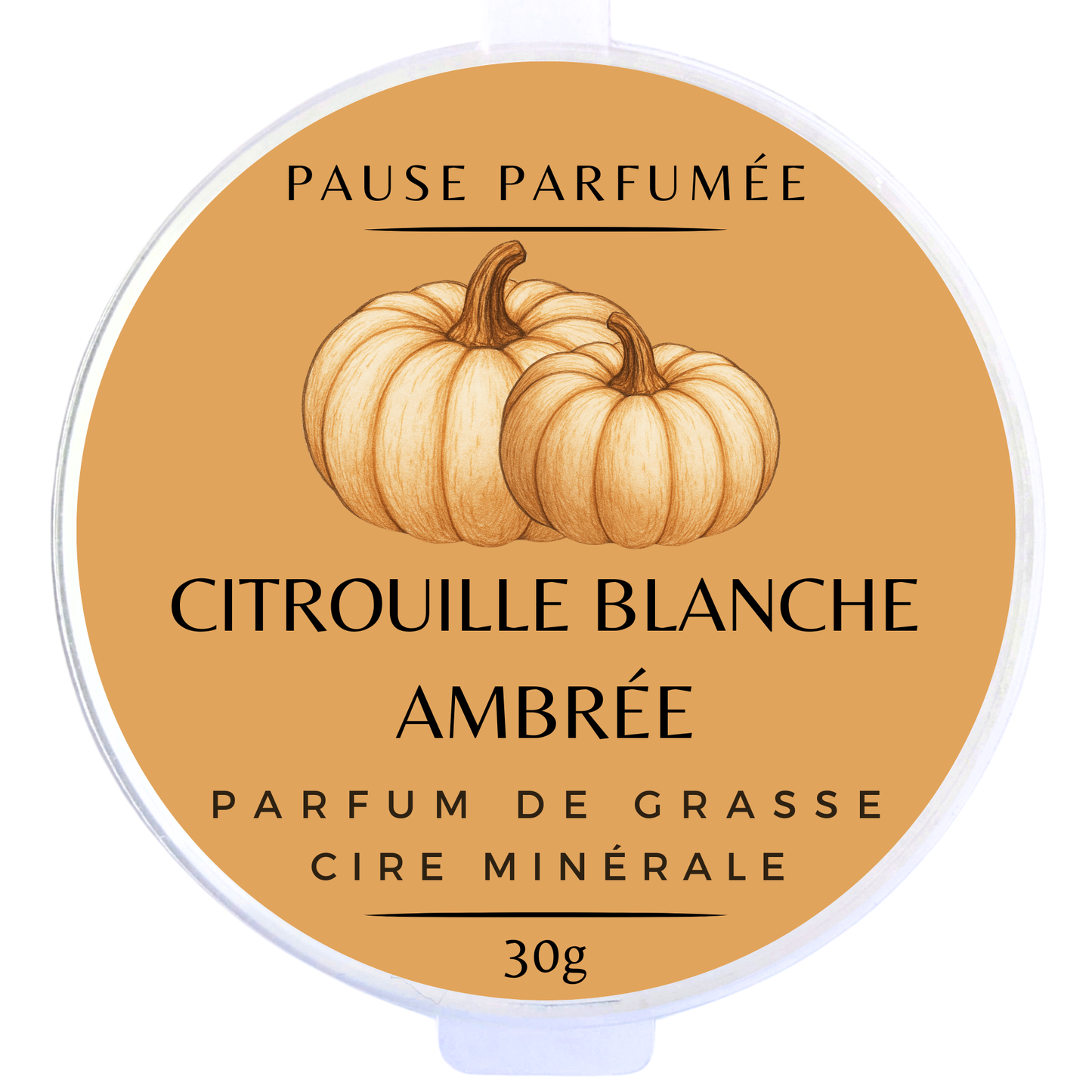 Citrouille Blanche Ambrée - Fondant Parfumé